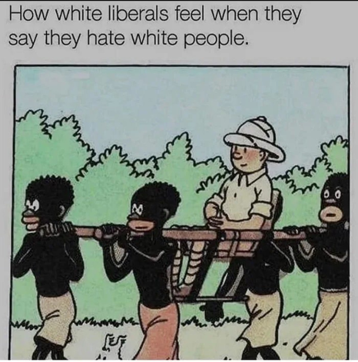 lib tintin.jpg